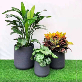 Customized Factory Wholesale Garden Flowerpot Fiberglass Lightweight Cement Planter Box